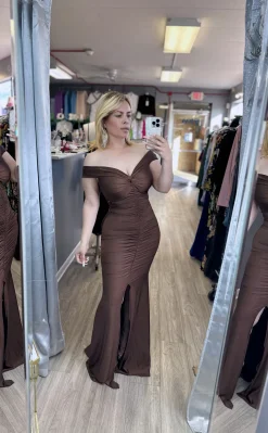 Beatriz Dress (Brown)