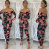 Hips and Palms Jumpsuit (Pink)