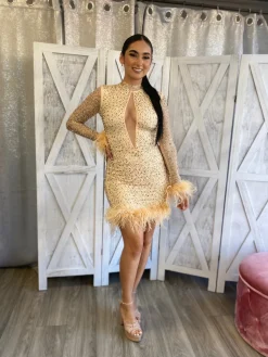 Ice Out Dress