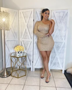 Natasha Dress (Gold/Multi)