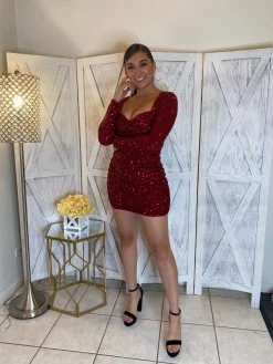 Queen Anne Dress (Burgundy)