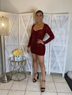 Queen Anne Dress (Burgundy)