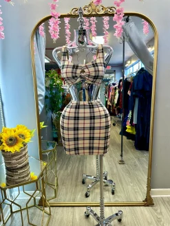 Show That Flesh Dress (Brown)