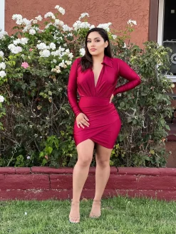 Skylar Dress (Burgundy)
