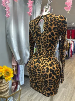 Spice It Up Dress