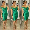Weekend Look Dress (Kelly Green)