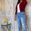 Your Go To Blazer (Burgundy)